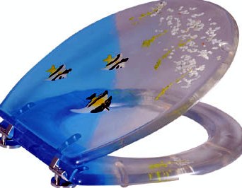 Aquarium Fish Design