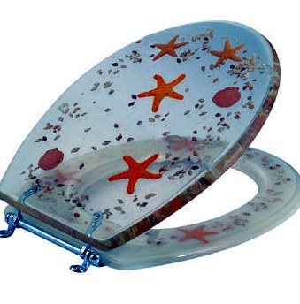 Starfish & Shell Inlay